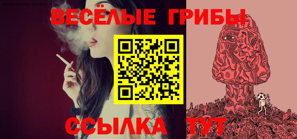 Псилоцибиновые грибы прущие грибы  Галлюциногенные грибы Magic Shrooms  Сибай  Вход с VPN 